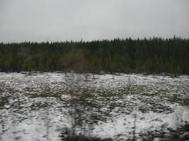 Снег под Медвежьегорском